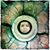 Suzanne Leyba's profile image