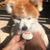 Linda Beachtexas's profile image
