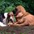 Melissa Fenchel's profile image