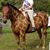 Denise Spender's profile image