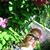 Katherine Miller's profile image