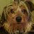 Eloise Kapper Bayne's profile image