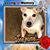 Cindy L Wrisley's profile image