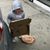 Kimberly Steinmetz Unland's profile image