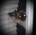 Edie Zendejas's profile image