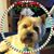 Jean Foose Smith's profile image