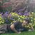 Matthew E Leyba's profile image