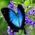 Mary Slade Rowland's profile image