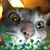 Lockett Blanton's profile image