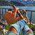 Mimo Sharmer's profile image