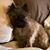 Shawn Huntermark's profile image