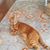 Lori Dockery's profile image