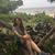 Elena Wright's profile image