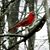 Susan R. Gurr Sweat's profile image