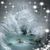 Beth Ervin's profile image