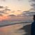 Patricia Stemler's profile image