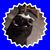 John Riccio's profile image