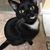 Susan Marie Malek's profile image