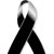 Lenis Colon Miranda's profile image