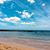 Kathy Neu Forbis's profile image
