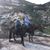 Felicia Berger Hohle's profile image