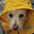 Bennet Kelley's profile image