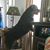 Christine Scarano Brown's profile image