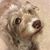 Ann L. Parisien's profile image