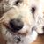 Merritt Smith Croland's profile image