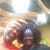 Michele Thompson's profile image