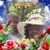 Tee Brown's profile image