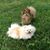 Suzanne Vaught Myers's profile image