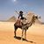 Melissa Saab's profile image