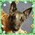 Christy Hill's profile image