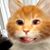 Brittany Prusha's profile image