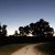 Kristi Holzer's profile image