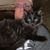 Stoney Lovelady's profile image