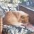 Lori Boggs Kietzmann's profile image