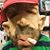 Rene Roque's profile image