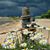 Sheila Knopp's profile image