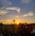 Sandy Ricard's profile image