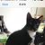 Magali Chang's profile image