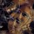 Brandy Abner Severns's profile image