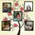 Mayte Camarena Fuentes's profile image