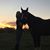 Lila Castell's profile image