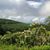 Maite Gonzalez Triana's profile image