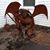 Leslie Ann Ellis's profile image
