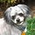 Jakob Michelpoika Naatus's profile image