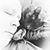 Janice Scott's profile image