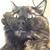 James Cardinell's profile image